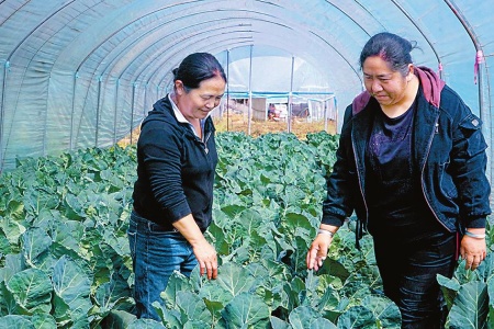 ���������󣩺ʹ���һ��鿴���˳��ơ�